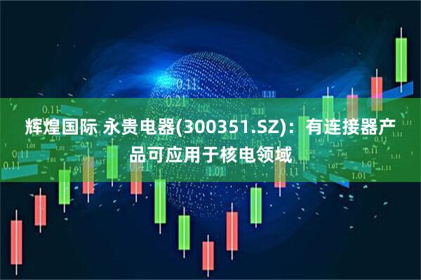 辉煌国际 永贵电器(300351.SZ)：有连接器产品可应用于核电领域