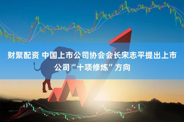 财聚配资 中国上市公司协会会长宋志平提出上市公司“十项修炼”方向