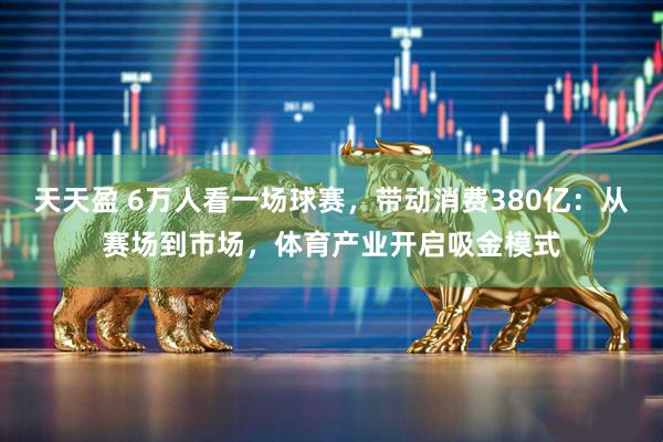 天天盈 6万人看一场球赛，带动消费380亿：从赛场到市场，体育产业开启吸金模式